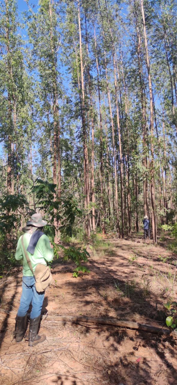 Equipe Duarte Ramos em trabalho de campo